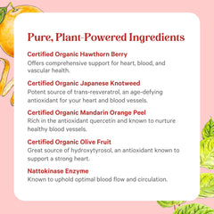 PURE SYNERGY frasco en mano para comparar tamaño y dosis recomendada