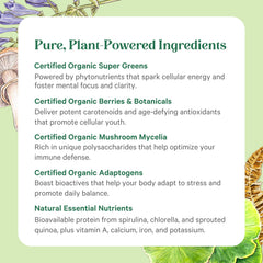 PURE SYNERGY cucharada con polvo para referencia de tamaño