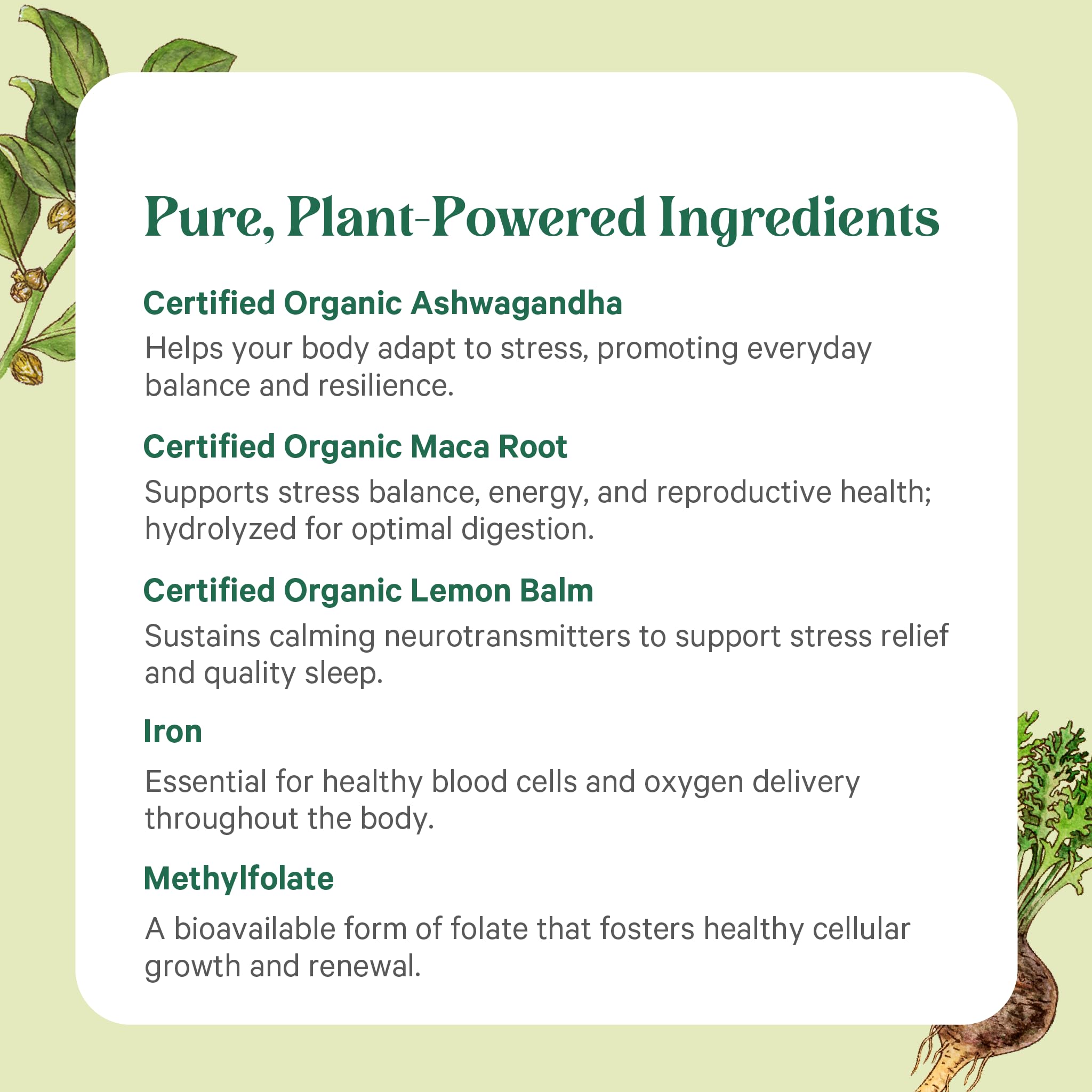 PURE SYNERGY producto en contexto diario apoyando rutina y energía