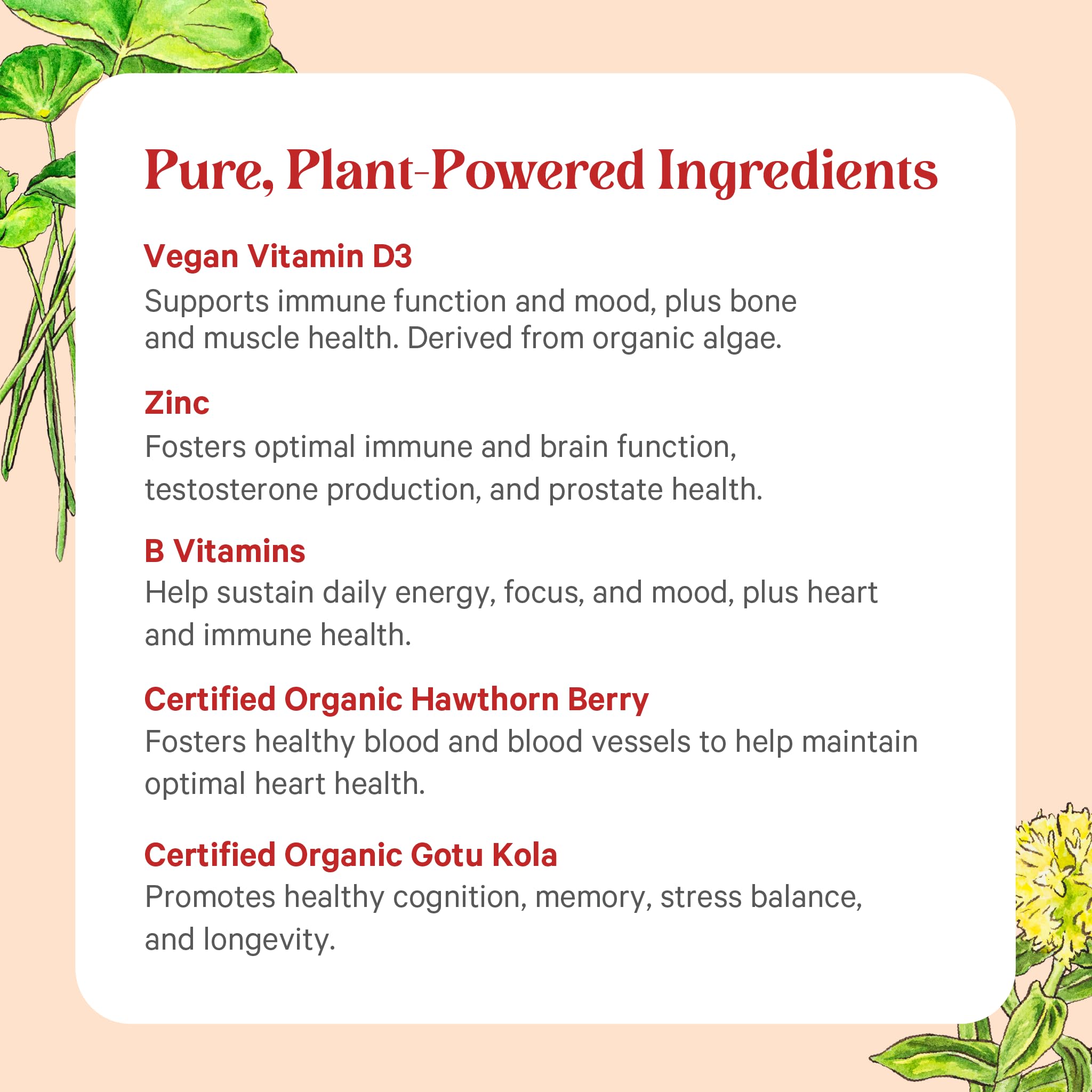 PURE SYNERGY etiqueta de ingredientes orgánicos y certificados visible