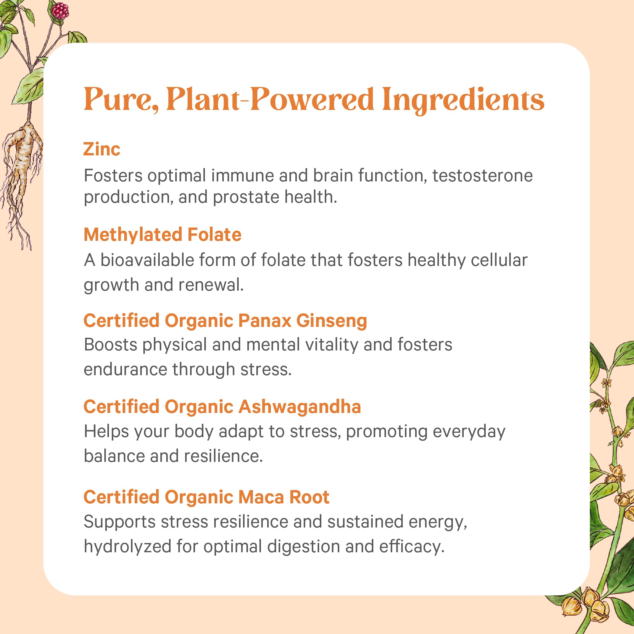 PURE SYNERGY etiqueta nutricional legible con ingredientes clave