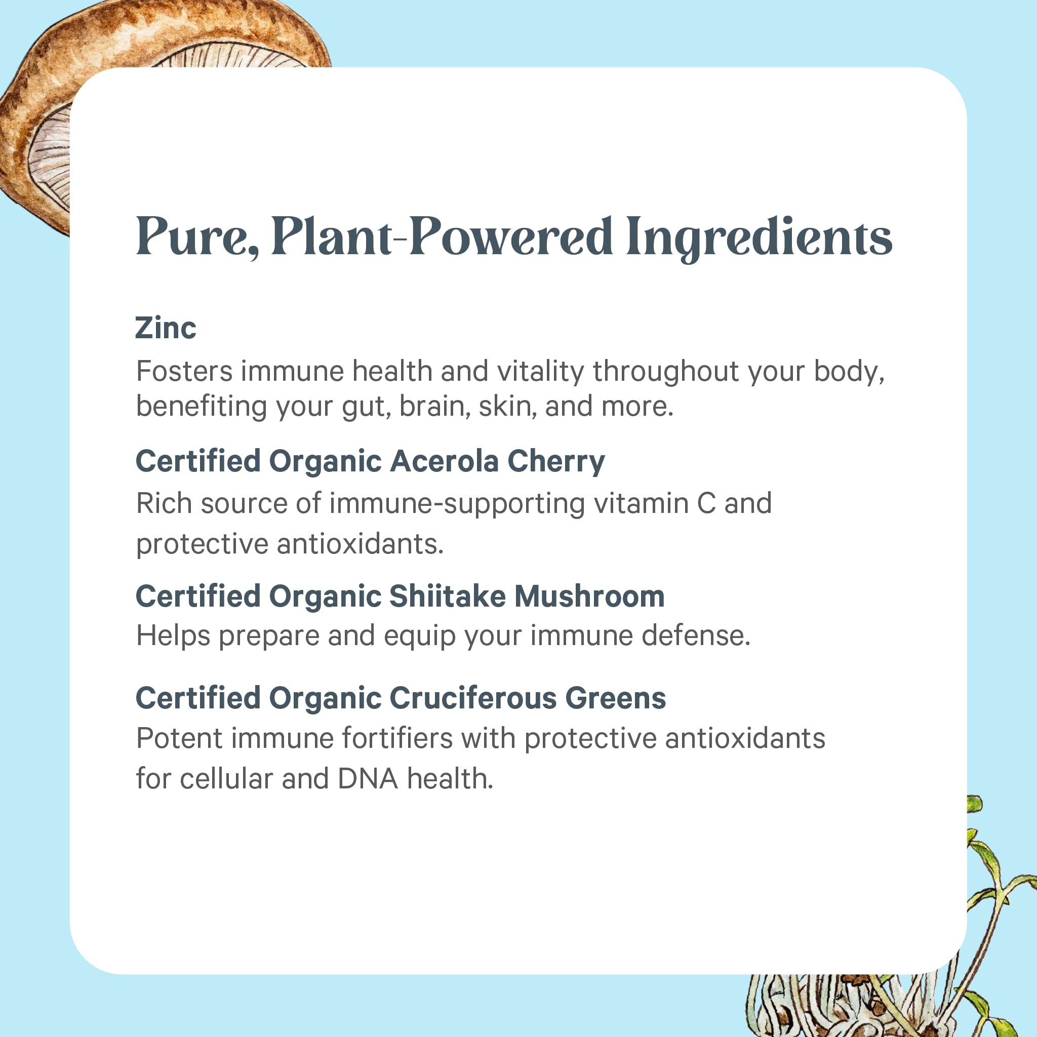 PURE SYNERGY acerola y hongos orgánicos como cofactores naturales del zinc