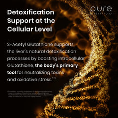 Pure Therapro Rx placa GMP que certifica fabricación y control de calidad