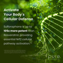 Pure Therapro Rx envase abierto vista superior mostrando cápsulas internas