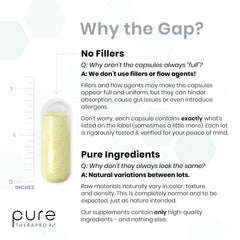 Pure TheraPro Rx extracto de Quercefit en polvo destacando biodisponibilidad