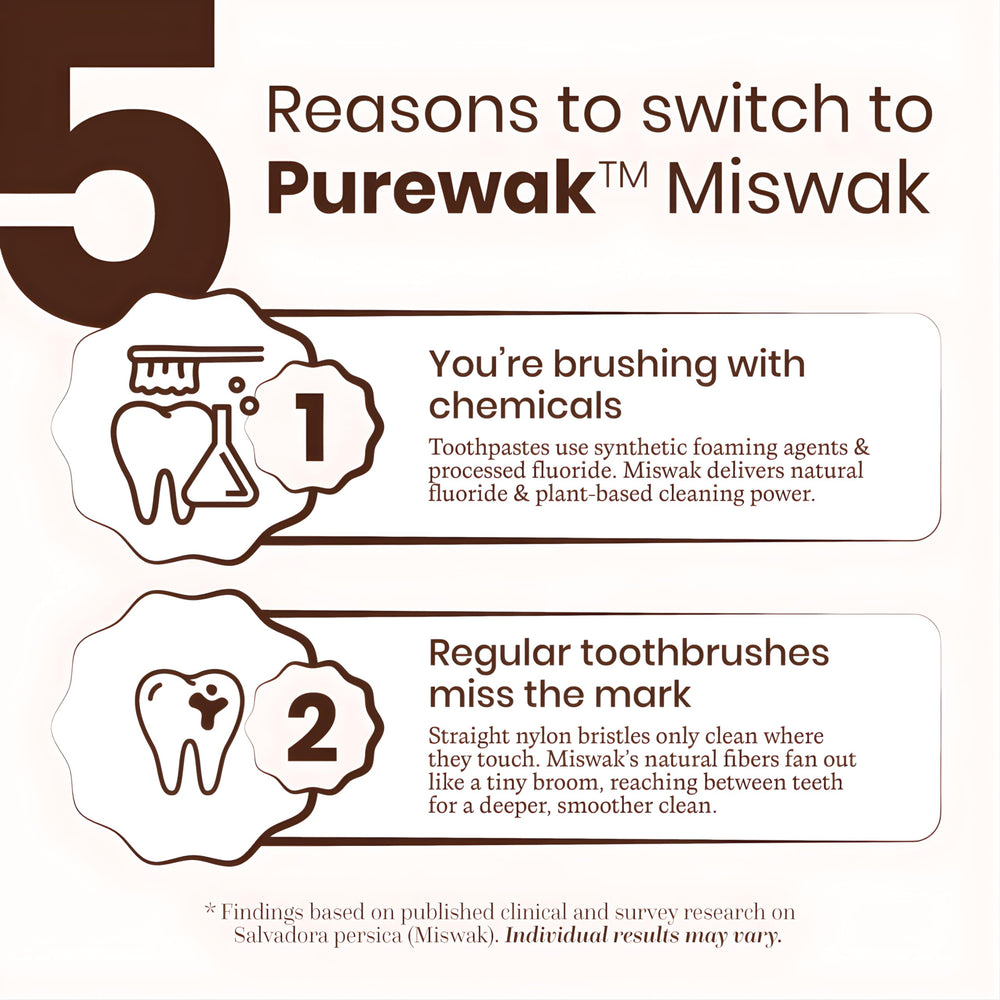 PUREWAK persona usando miswak, limpieza rápida y cómoda fuera de casa