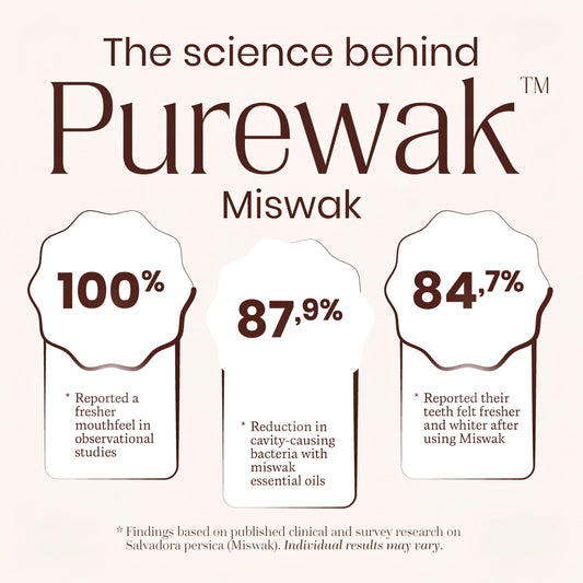 PUREWAK primer plano de fibras de Salvadora persica, textura limpia y pura