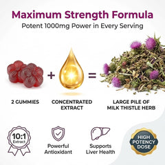 Etiqueta Purify Life mostrando ingredientes y extracto concentrado para confianza