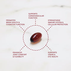 Purity Products Krill Omega 50 botella en mano para mostrar tamaño y cantidad conveniente