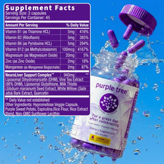 purple tree ilustración liposomal explicando mayor biodisponibilidad
