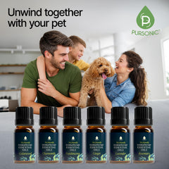 Pursonic frasco junto a cama de gato, crea un entorno confortable