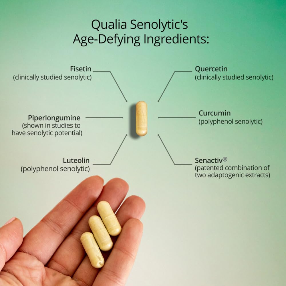 Qualia Life Sciences escena de vida activa que sugiere mayor vitalidad cotidiana