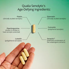 Qualia Life Sciences escena de vida activa que sugiere mayor vitalidad cotidiana