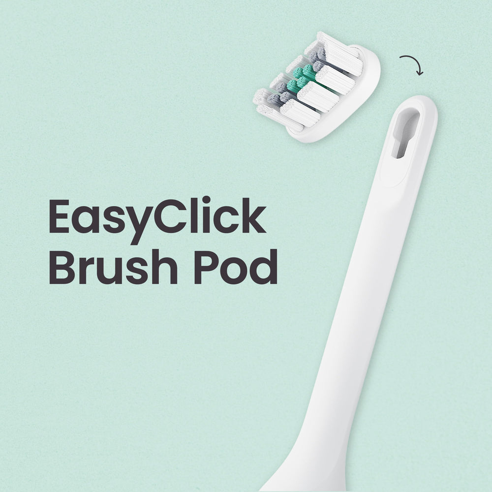 quip comparación de tamaño en mano, diseño compacto conveniente