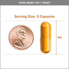 Cápsulas con curcuminoides al 95% para mayor potencia de cúrcuma.