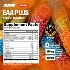 RAW EAA Plus textura del polvo fino lista para mezclar y fácil disolución
