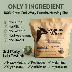 Raw Organic Whey cuchara con polvo finamente molido, fácil mezcla