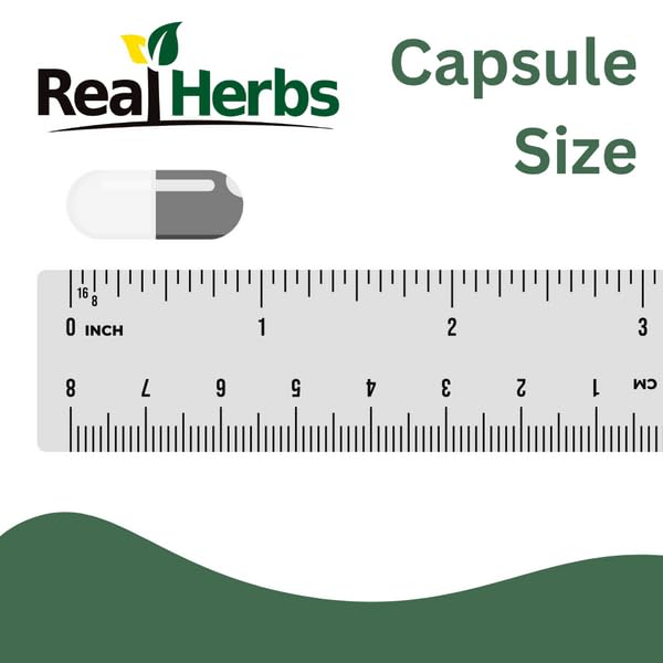 Real Herbs persona sosteniendo cápsula para uso diario práctico