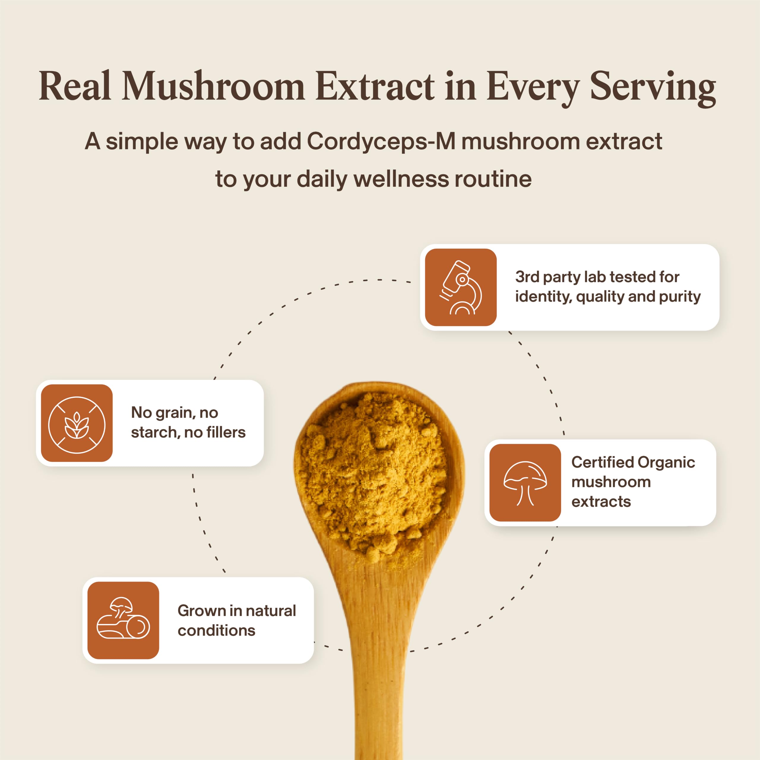 Real Mushrooms informe de laboratorio indicando análisis de calidad