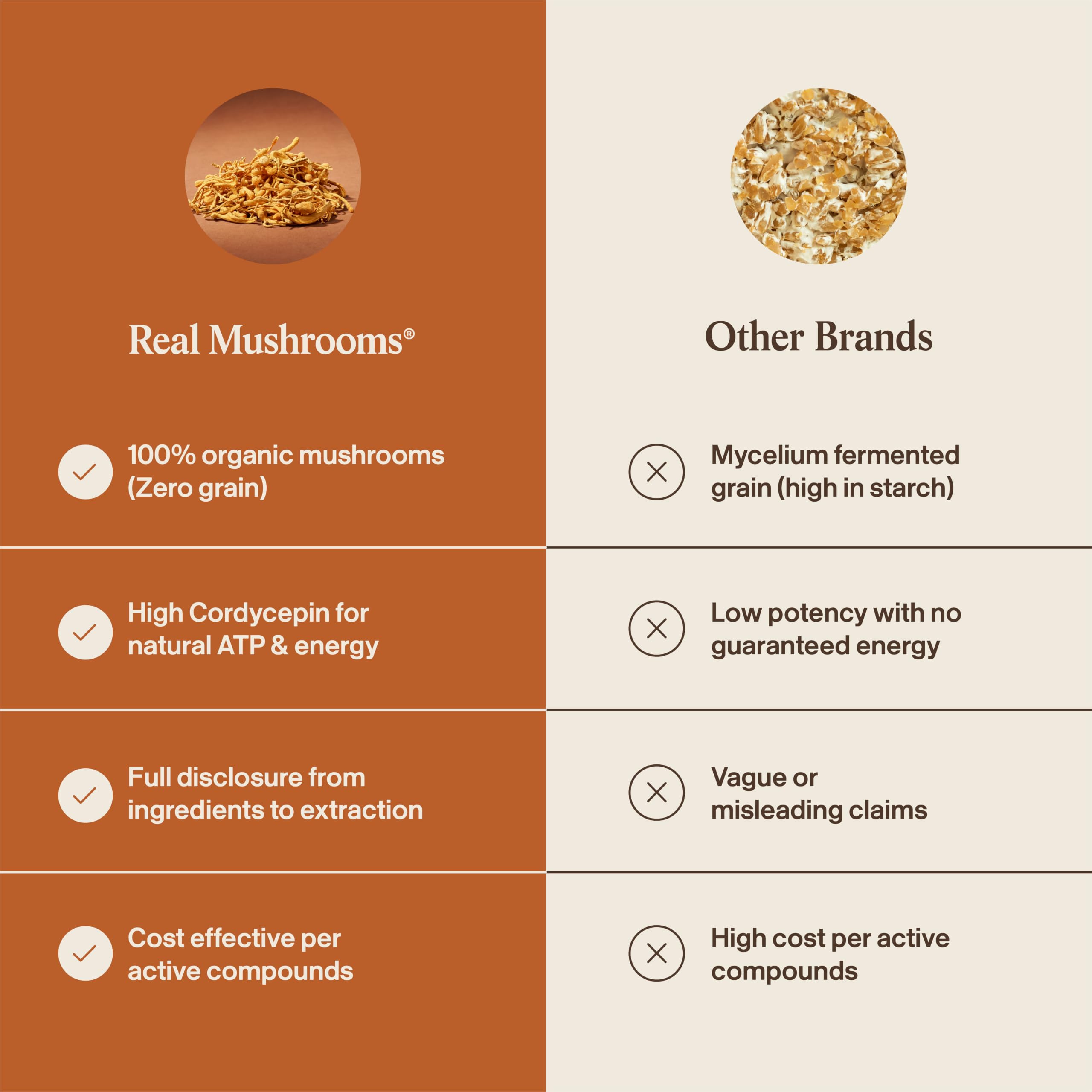 Real Mushrooms polvo incorporado en batido nutritivo y cremoso