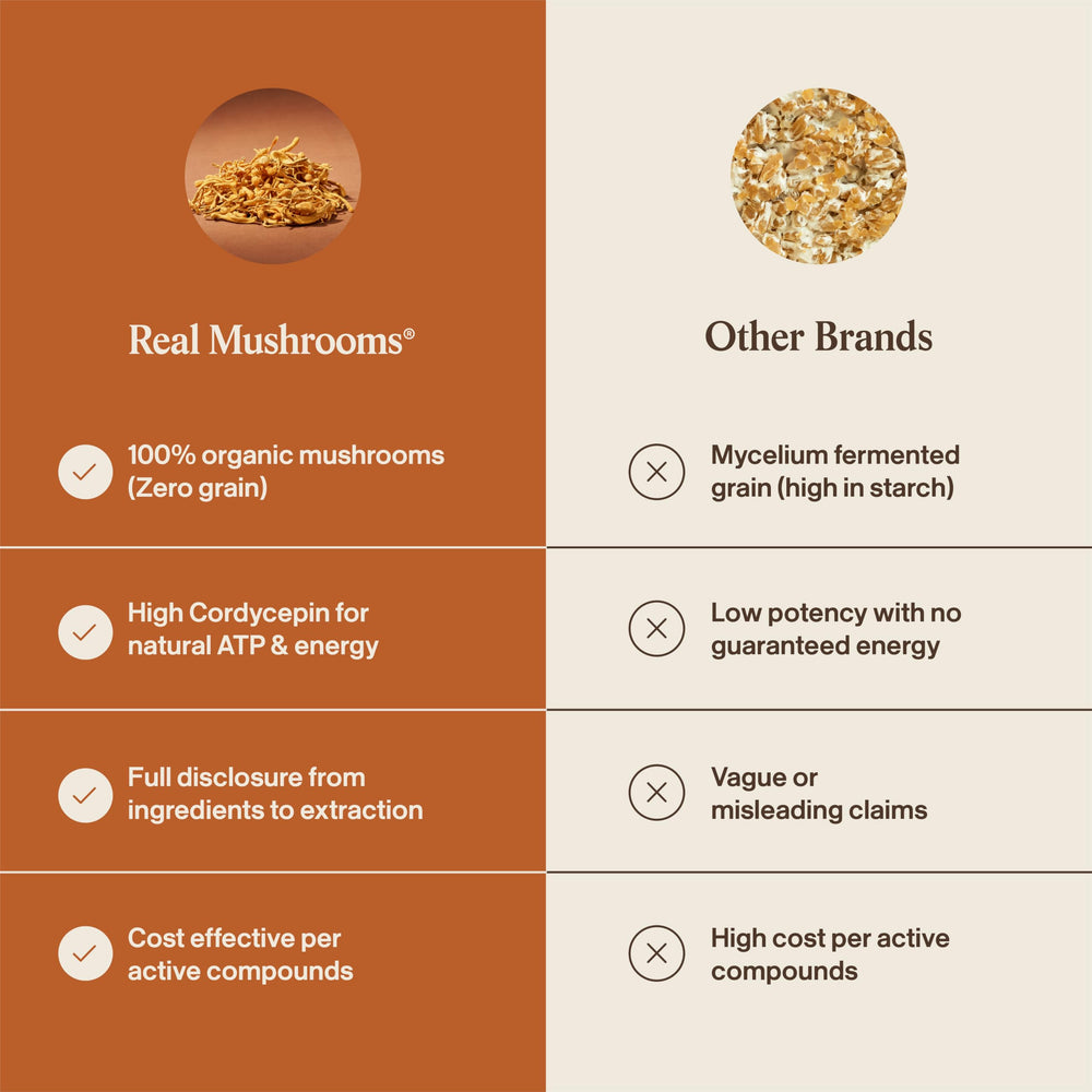 Real Mushrooms polvo incorporado en batido nutritivo y cremoso