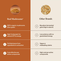 Real Mushrooms polvo incorporado en batido nutritivo y cremoso