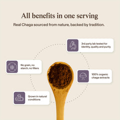 Real Mushrooms chaga silvestre en su hábitat natural, origen auténtico