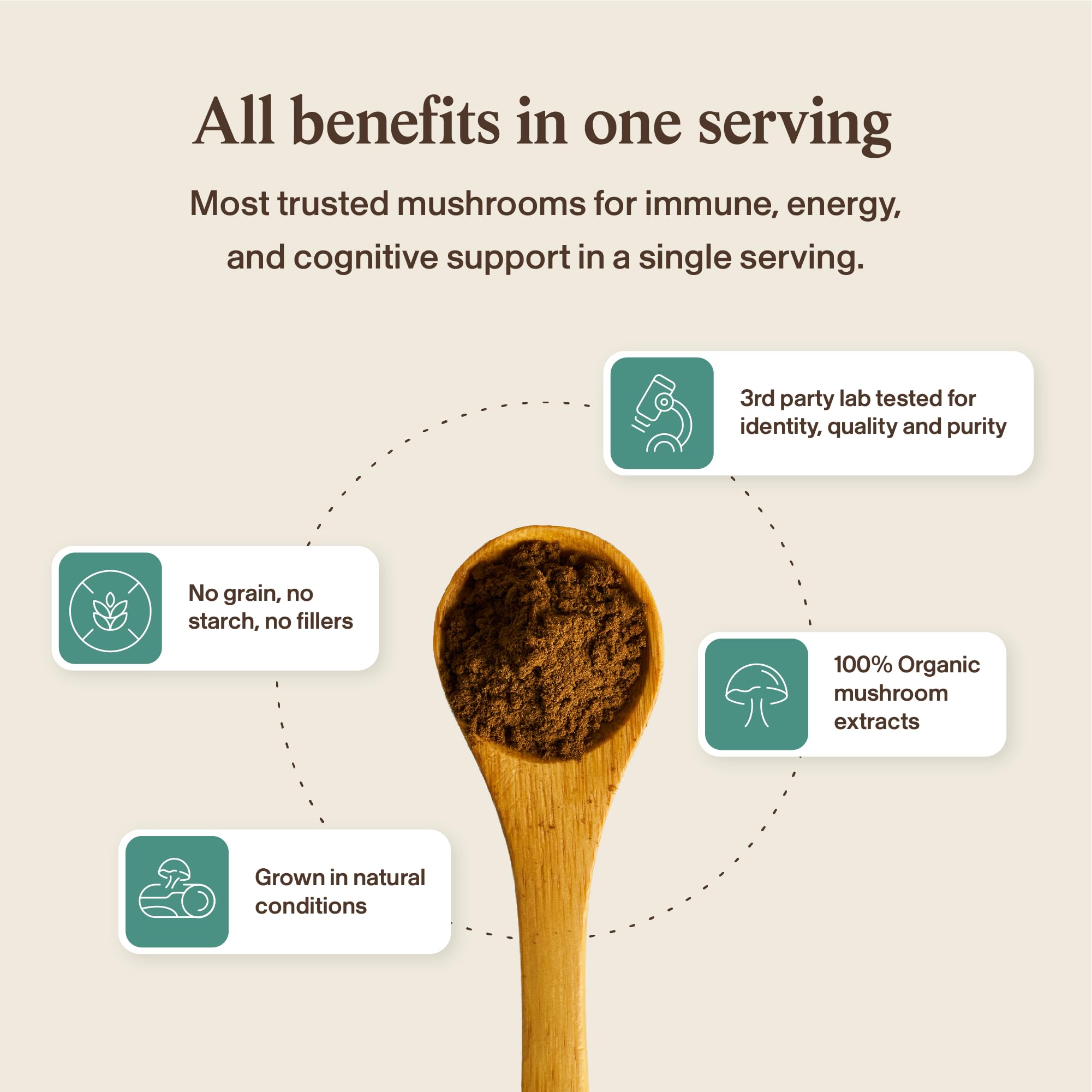 Real Mushrooms hongos secos combinados mostrando materia prima orgánica, origen natural