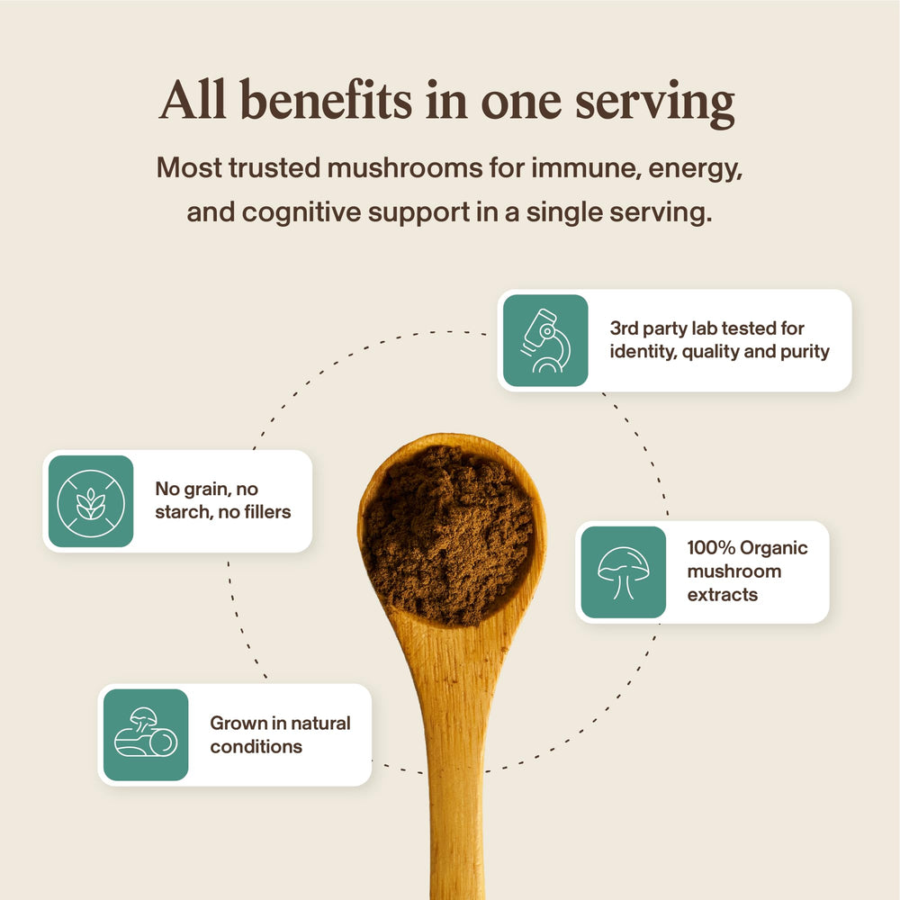 Real Mushrooms hongos secos combinados mostrando materia prima orgánica, origen natural