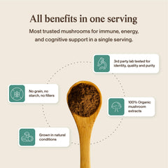 Real Mushrooms hongos secos combinados mostrando materia prima orgánica, origen natural