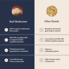 Real Mushrooms imagen de cuerpo fructífero de hongo, origen natural