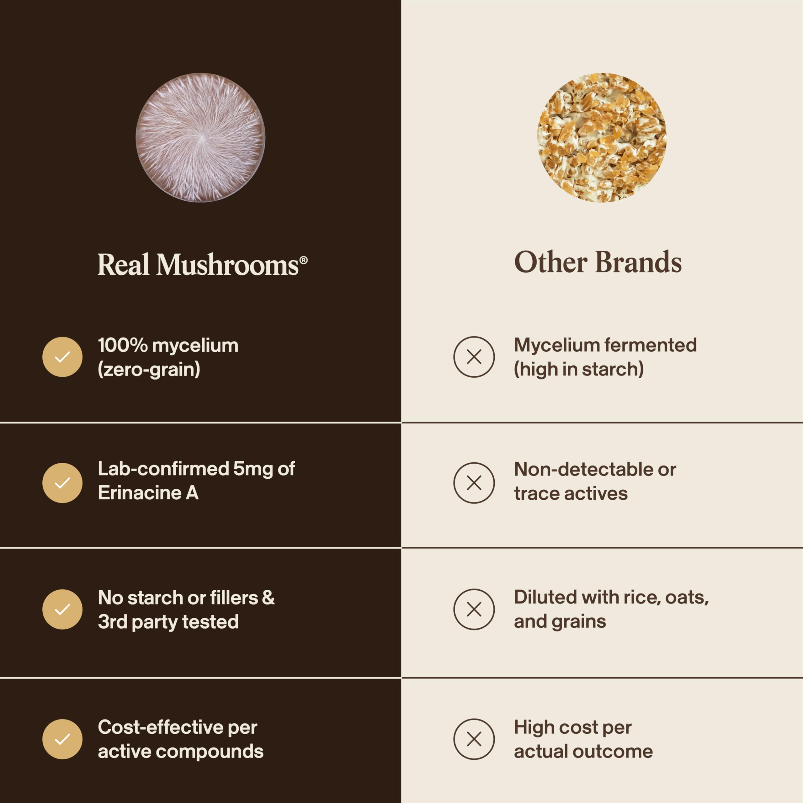 Equipo de laboratorio ilustrando fermentación líquida de micelio Real Mushrooms y control de calidad