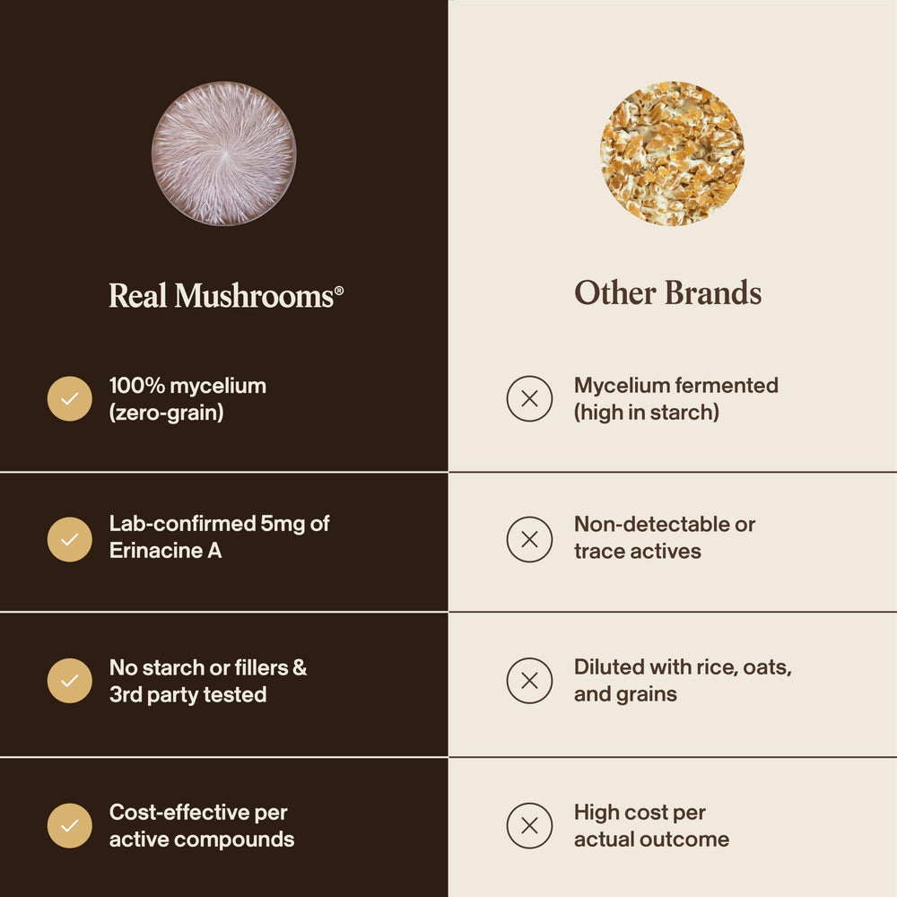 Equipo de laboratorio ilustrando fermentación líquida de micelio Real Mushrooms y control de calidad