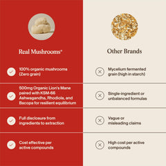 Real Mushrooms frasco en mano mostrando tamaño real y fácil manejo
