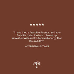 Real Mushrooms cápsula abierta con polvo, facilita mezcla en recetas