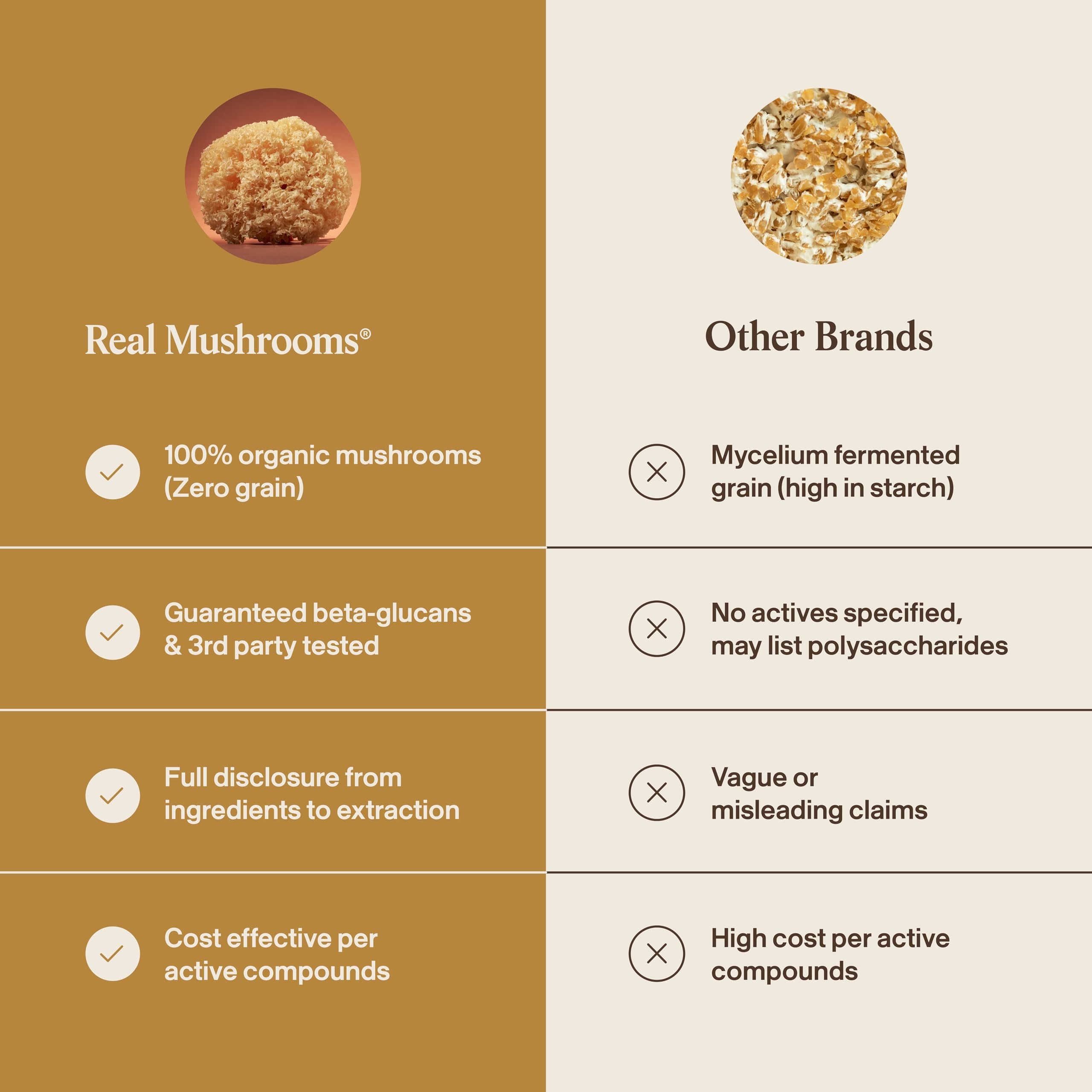 Real Mushrooms polvo en cocina, integración en recetas cotidianas