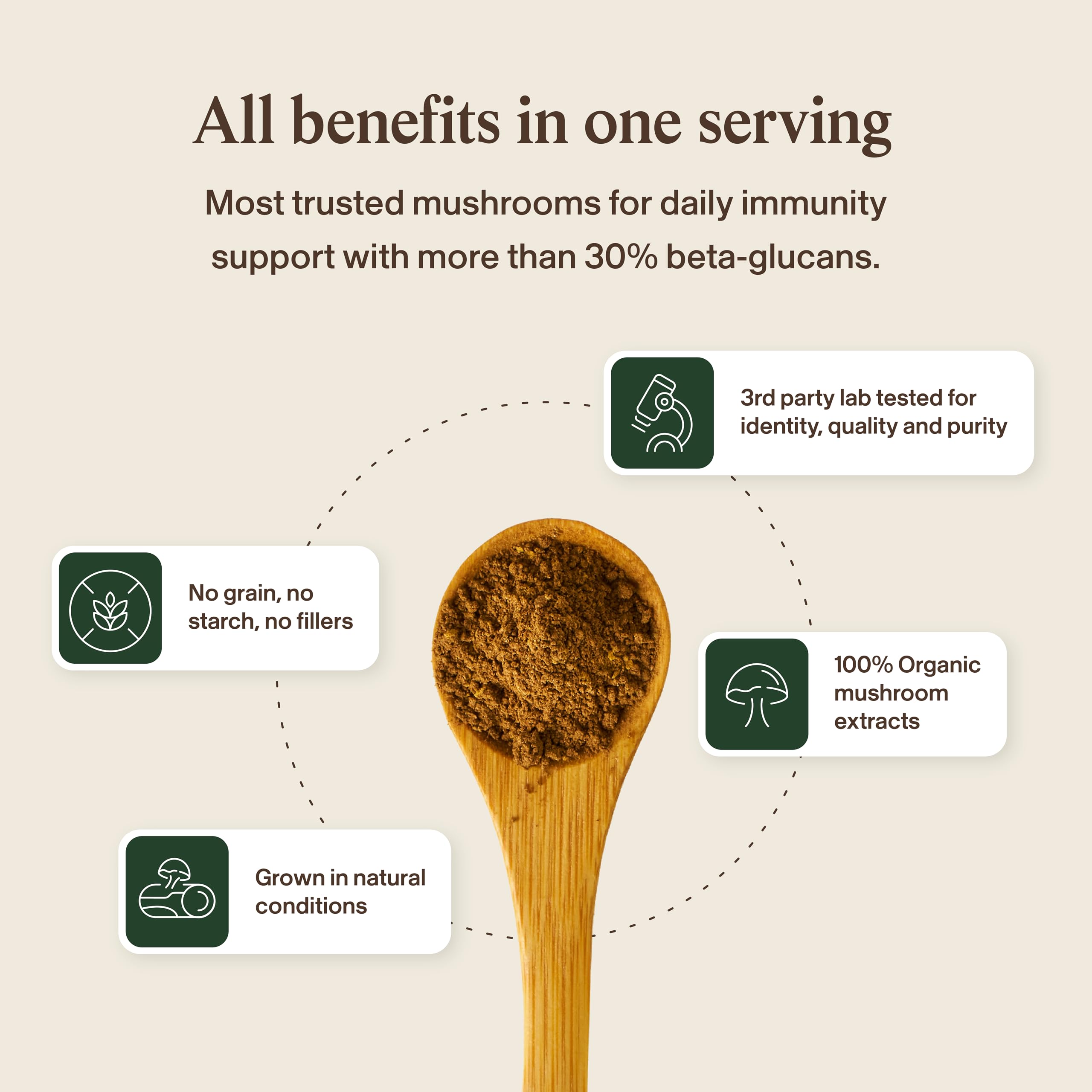 Real Mushrooms cápsulas integradas en una cocina saludable diaria