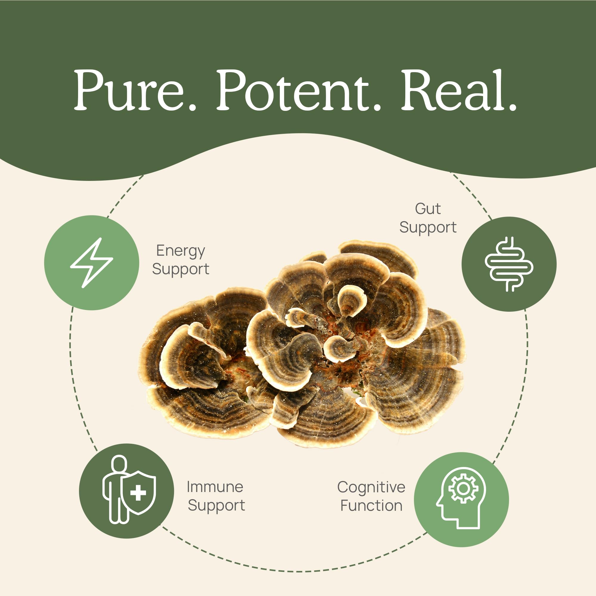 Real Mushrooms etiqueta con certificaciones y análisis de beta-glucanos