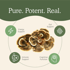Real Mushrooms etiqueta con certificaciones y análisis de beta-glucanos