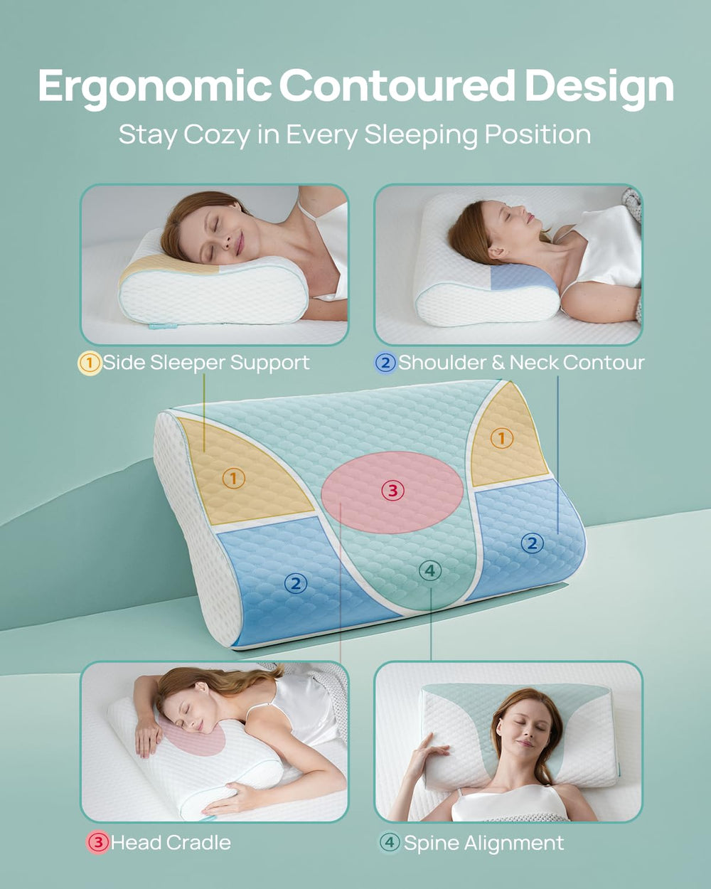 Releep almohada junto a regla para comparar tamaño queen y proporción