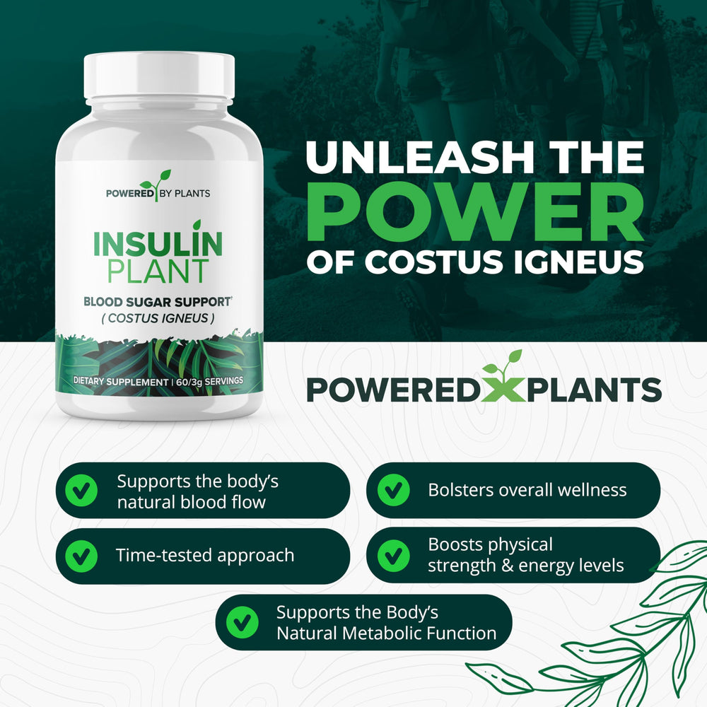 Research Biotech Group cápsulas vegetales en mano para visualizar forma y facilidad de ingestión