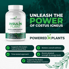 Research Biotech Group cápsulas vegetales en mano para visualizar forma y facilidad de ingestión