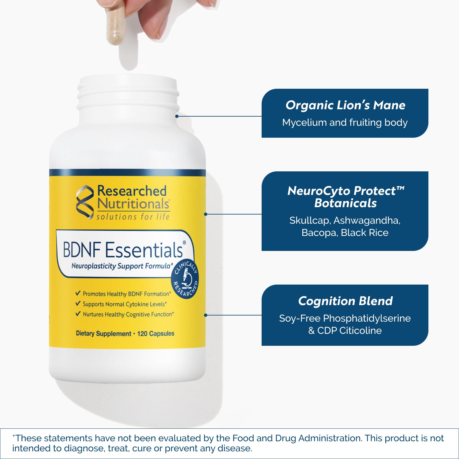 Researched Nutritionals melena de león orgánica, ingrediente clave con enfoque natural