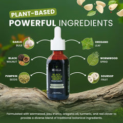 Resilia Oil Of Oregano frasco junto a moneda para comparar tamaño portátil