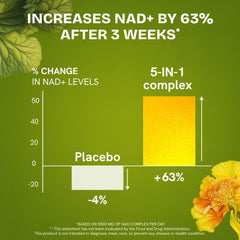 Resurrected Health caja abierta con cápsulas y folleto informativo visible