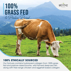Revive Naturals ingredientes: bovino pasto, pescado salvaje y huevo, origen ético