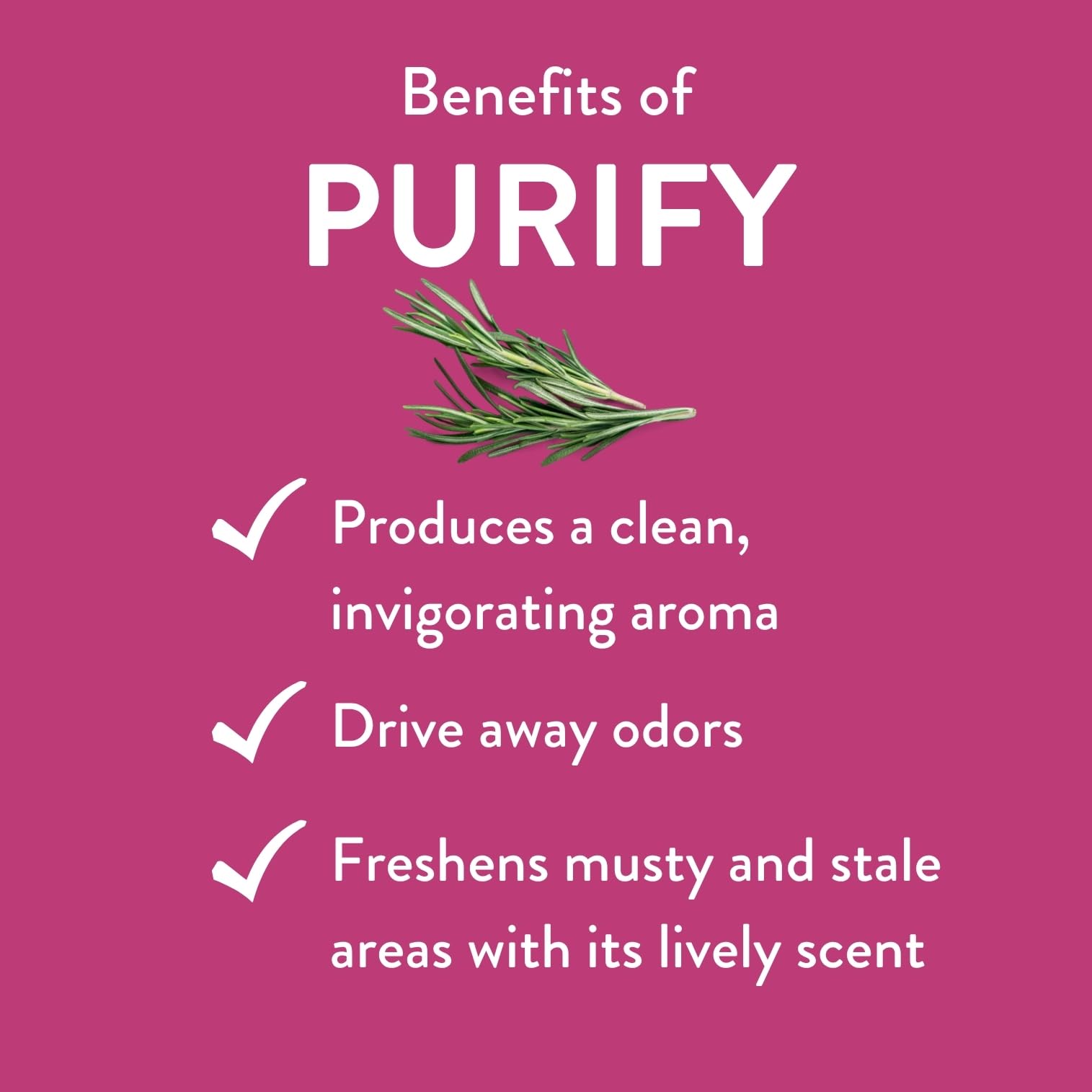 REVIVEEO Purify etiqueta con ingredientes claros y origen, favorece confianza
