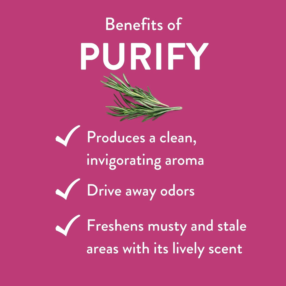 REVIVEEO Purify etiqueta con ingredientes claros y origen, favorece confianza