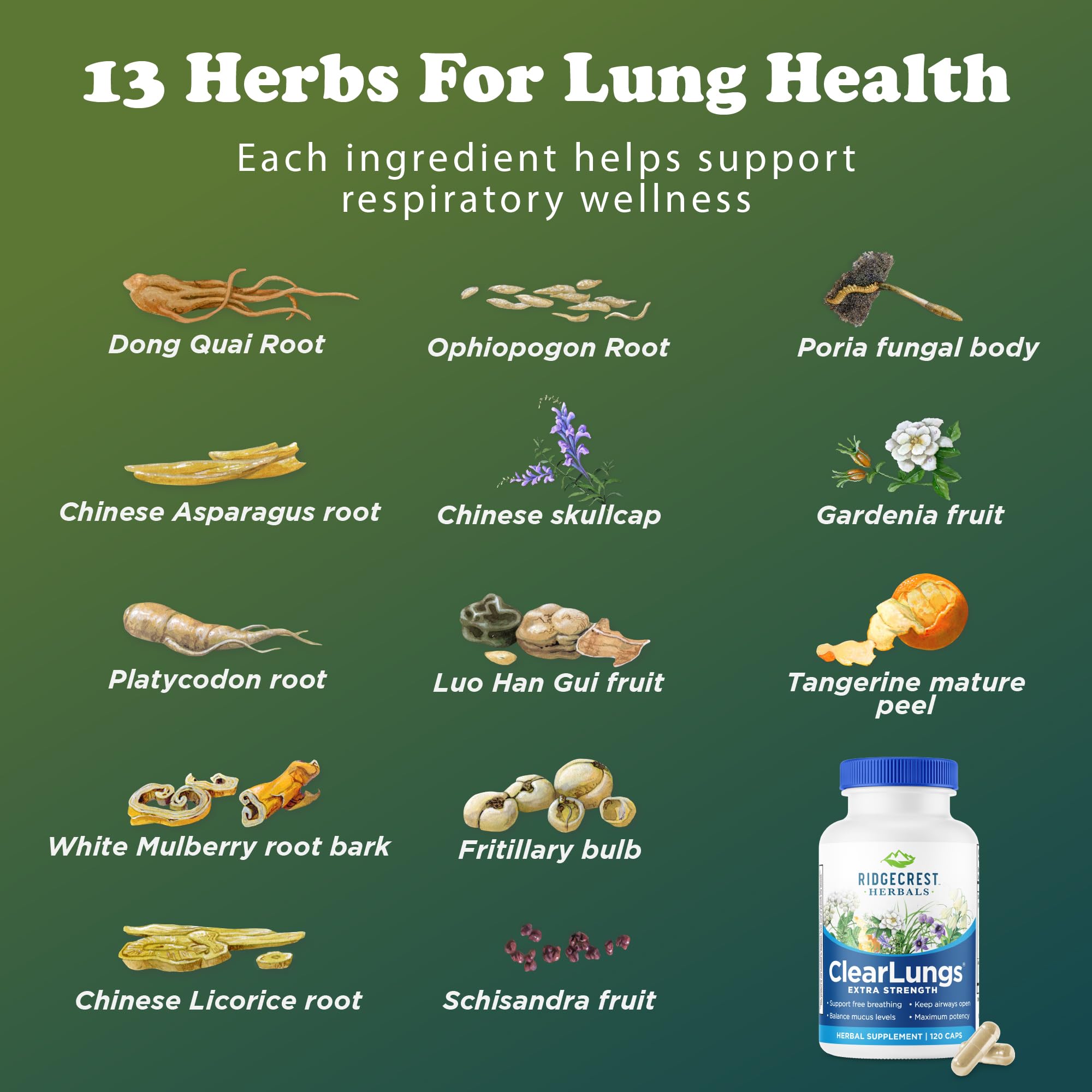 RidgeCrest Herbals ilustración antes y después de usar ClearLungs mostrando respiración más clara