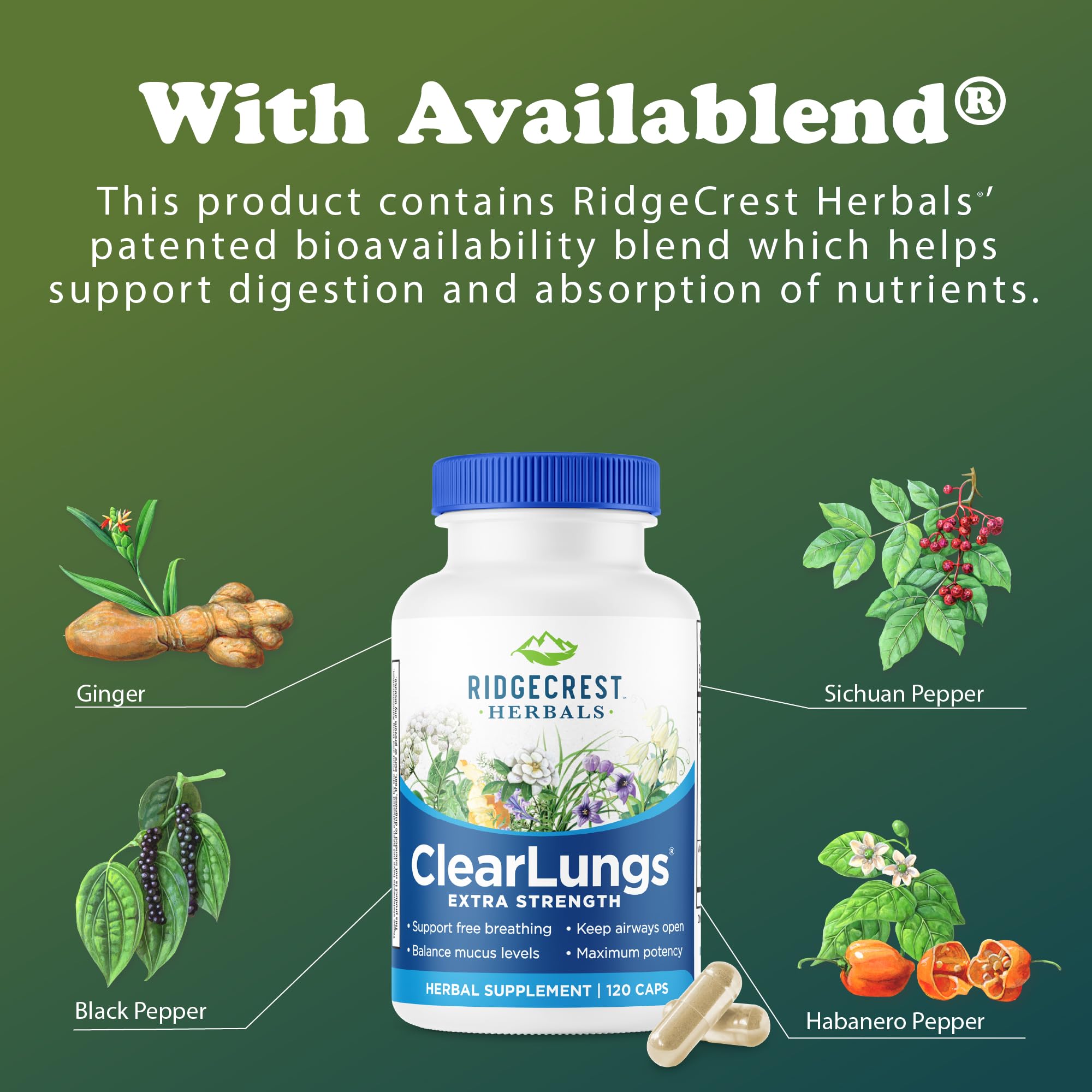 RidgeCrest Herbals cápsulas ClearLungs en ambiente exterior limpio representando alivio en malos días de aire